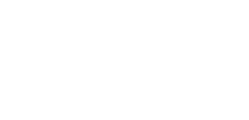 Svin